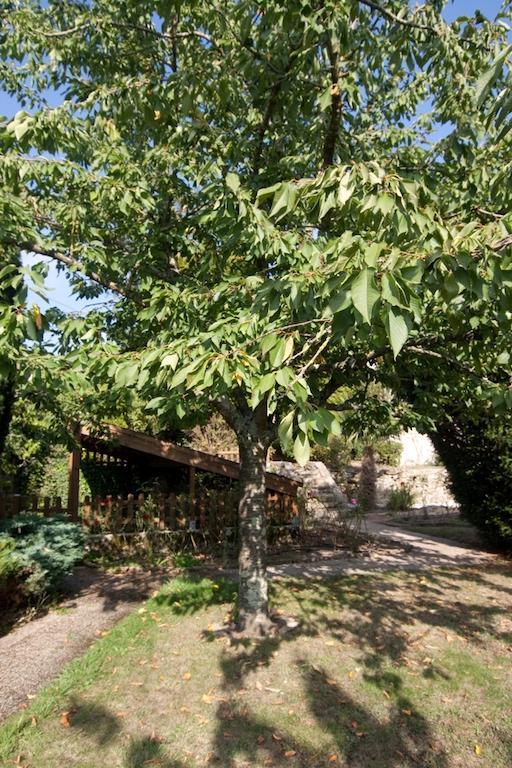 Le Petit Chateau - Tiffauges Proche Puy Dufou Экстерьер фото